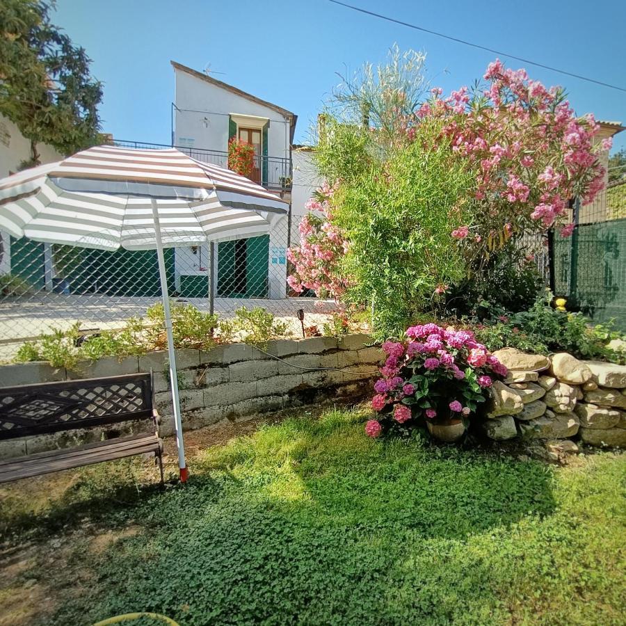 Appartamento Ancella - Residenza La Madonina Morciano 莫尔恰诺-迪罗马涅 外观 照片
